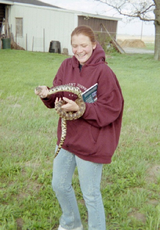 Pituophis cetenifer.2