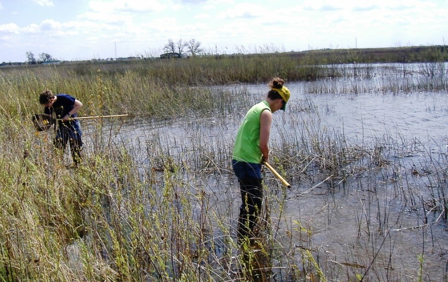 Wetland sampling.1