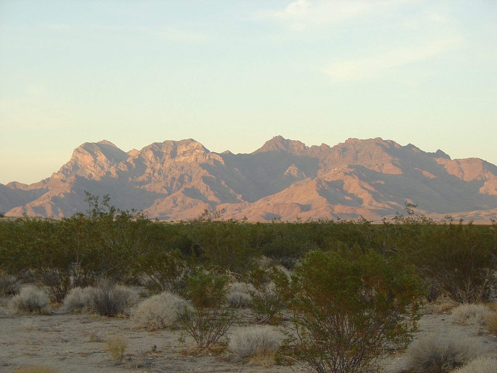 Providence Mtns.6 6 06.0416