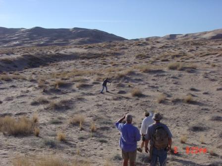 Watching trauth photograph lizard