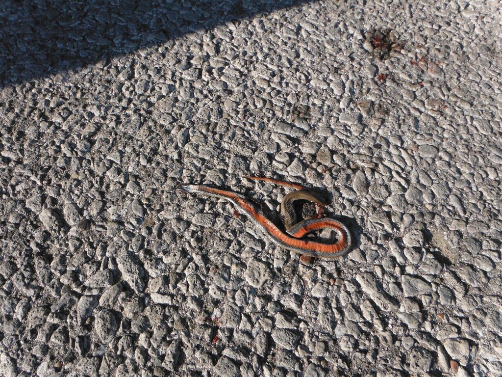 20130818 DSCF4187 preview