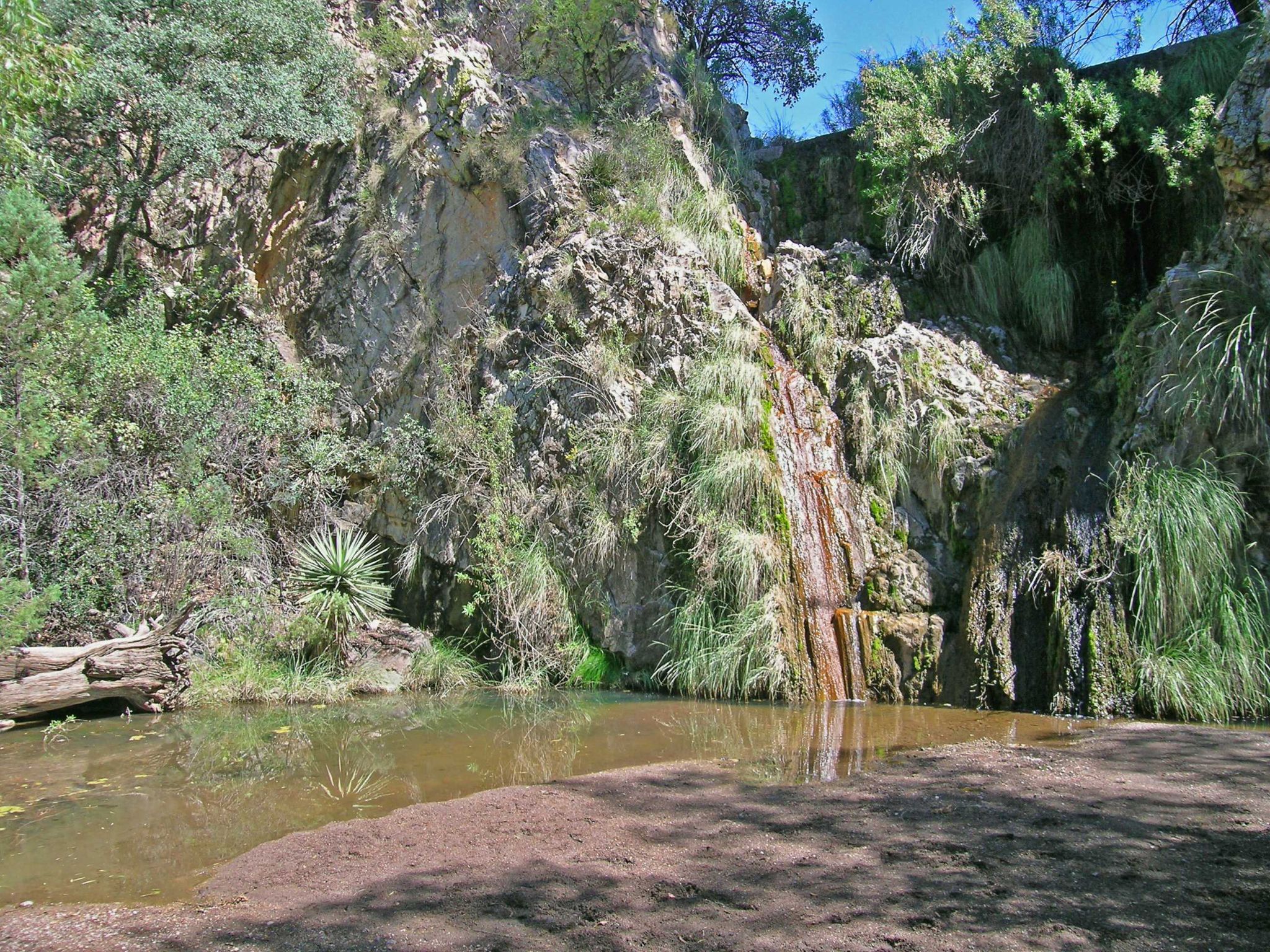 El Pilar Tank Santa Rita Mountains