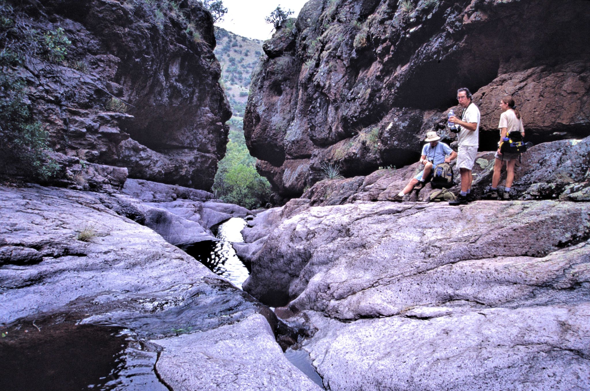 Lower reaches of Big Casa Blanca Canyon