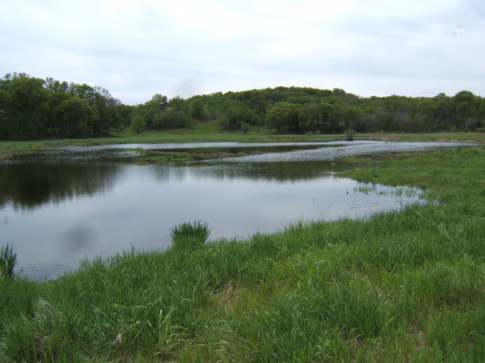 Site4 Breeding Wetland