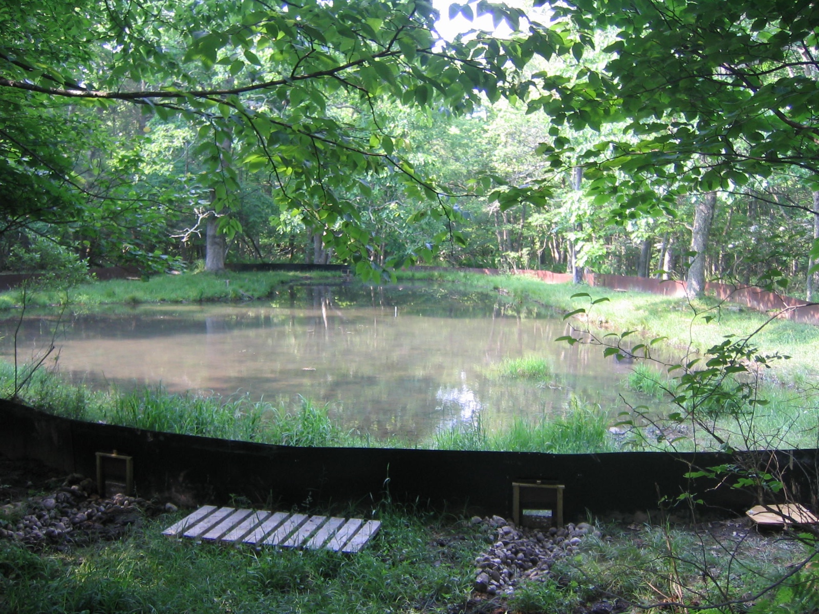 Sylvatica Pond MLBS   Grayson