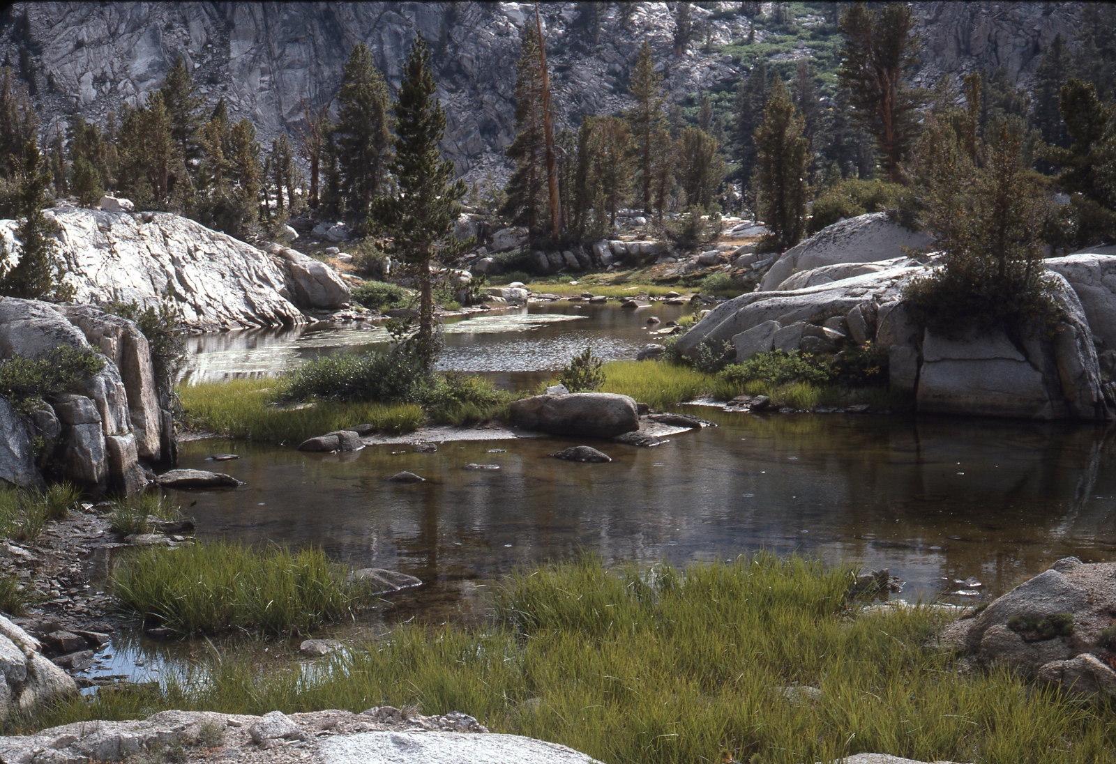 Sixty Lakes Basin donor site E