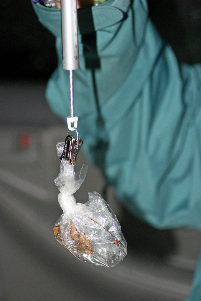 Barker Rios Franceschi 10