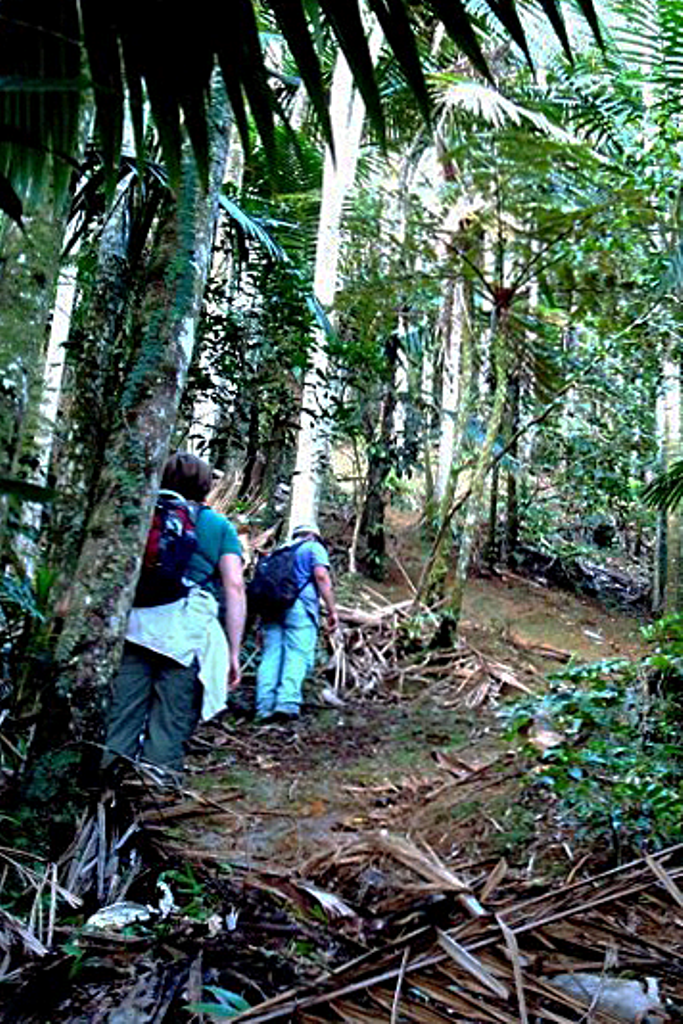 Barker Rios Franceschi 12