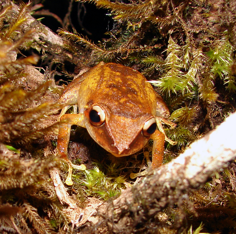 Barker Rios Franceschi 6