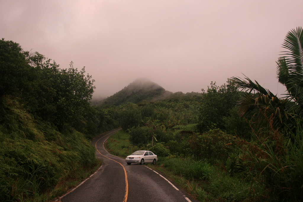 Barker Rios Franceschi 8