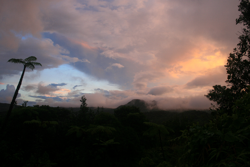 Barker Rios Franceschi 9