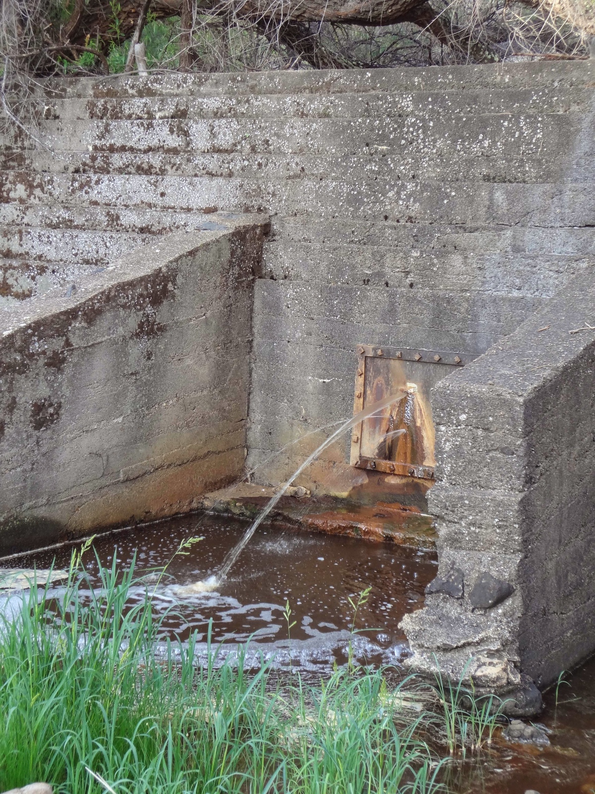 Stone 1 plate BWHole